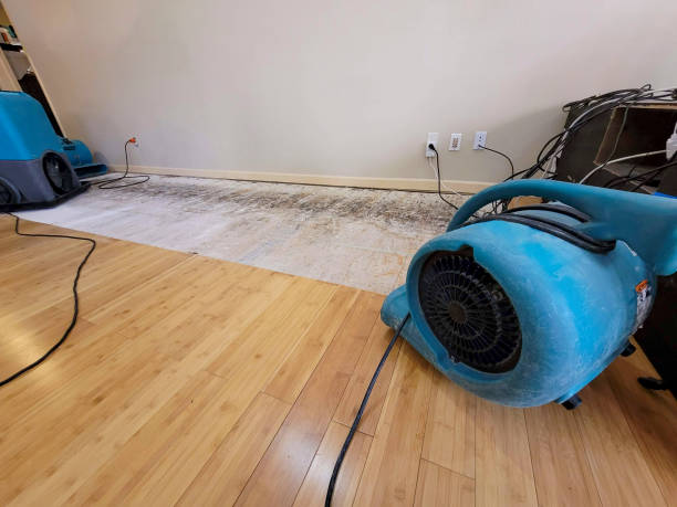 Reliable Basement Flood Cleanup contractor in Henderson, KY by Hirex Water Damage