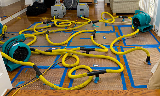 Professional Basement Flood Cleanup technician working in Henderson, KY